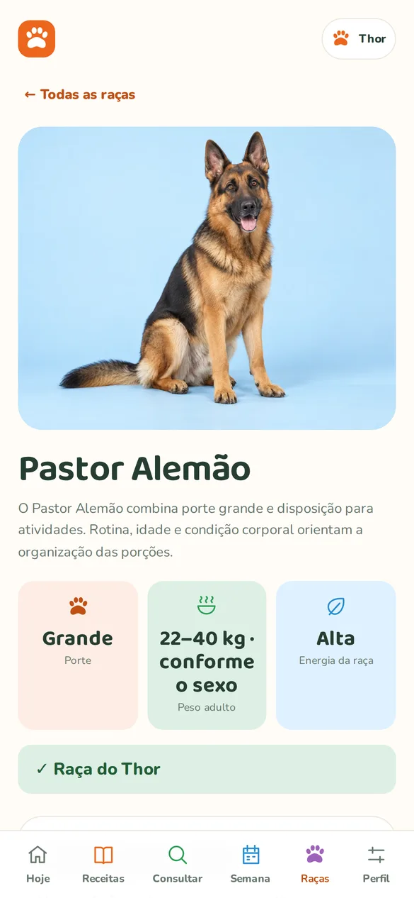 Raças, peso e vários cães